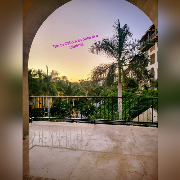 Meet your Posher, Ruger's Boutique 🐕🌿 - Picture 5 of 9